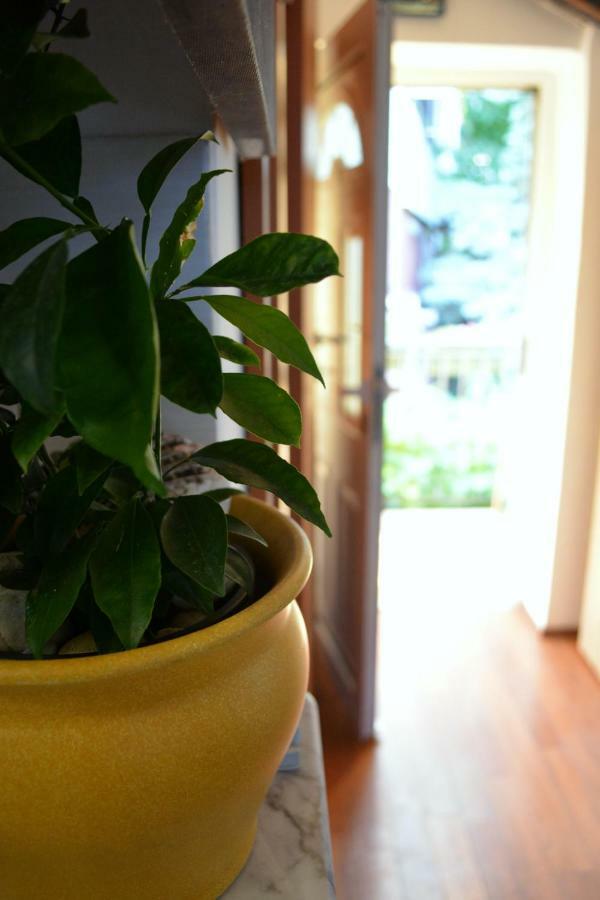 Appartamento Casa Del Padre - Annabelle Fiume Esterno foto